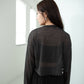 Sheer Long Sleeve Top