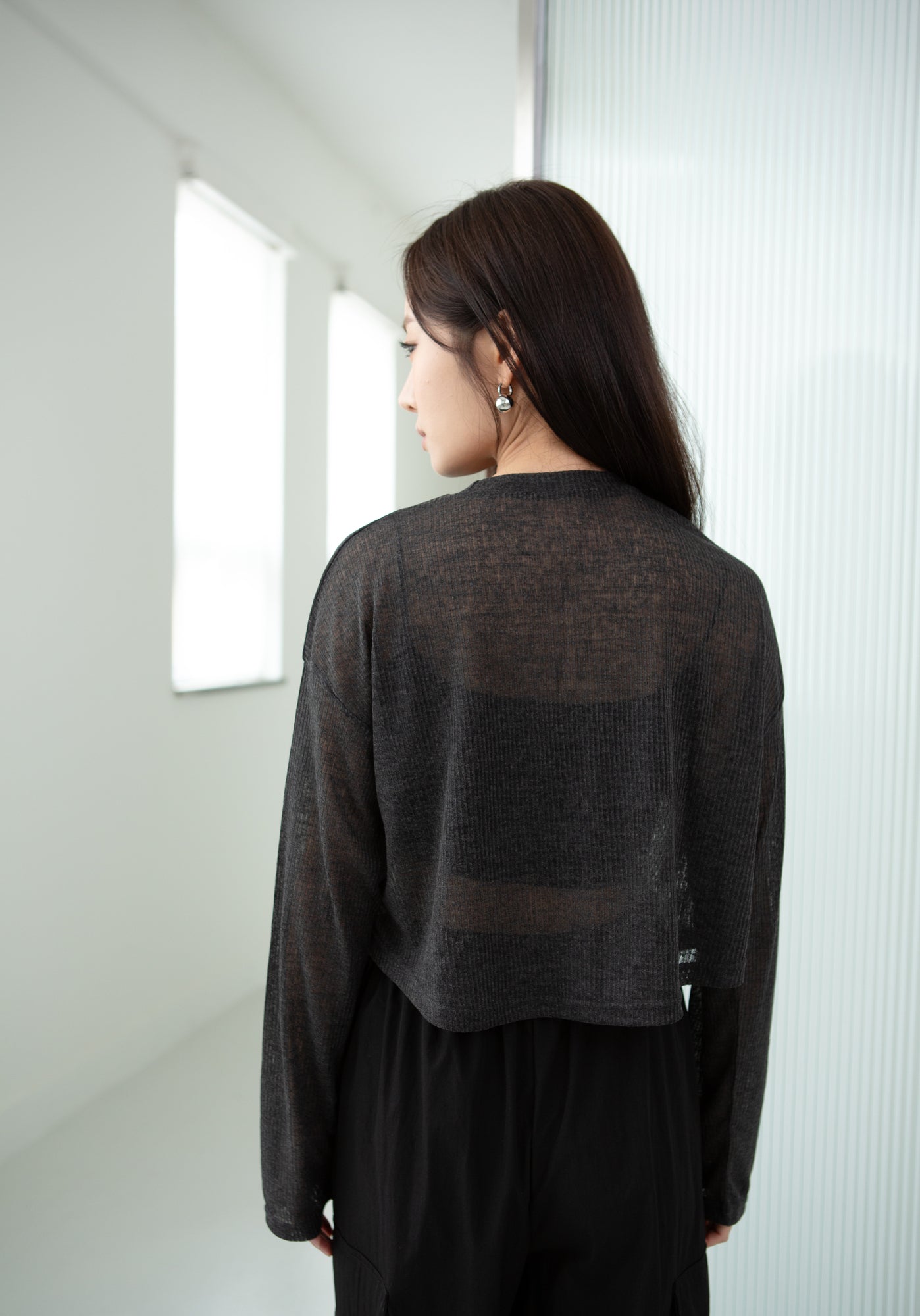 Sheer Long Sleeve Top [Reorder Open]