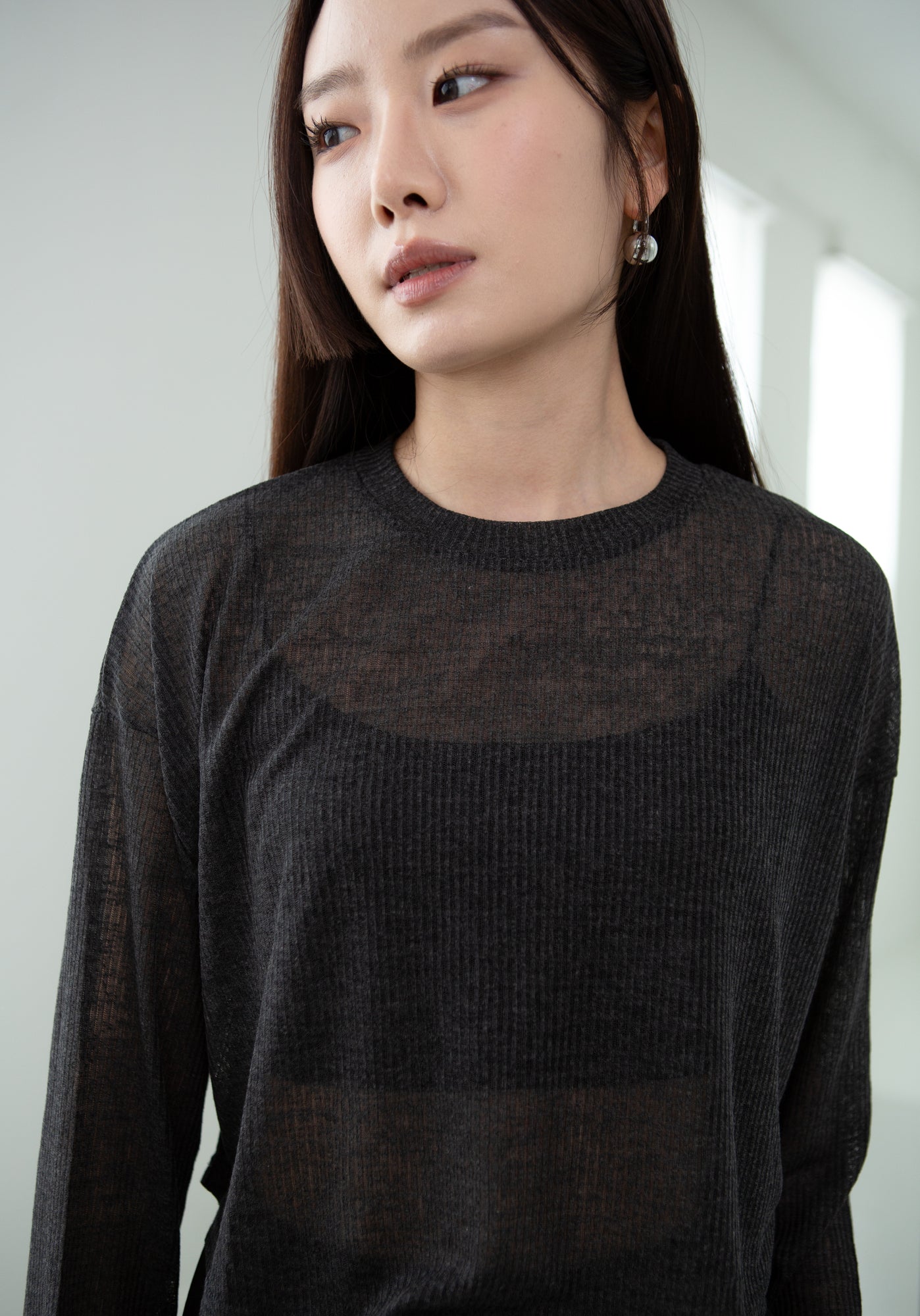 Sheer Long Sleeve Top