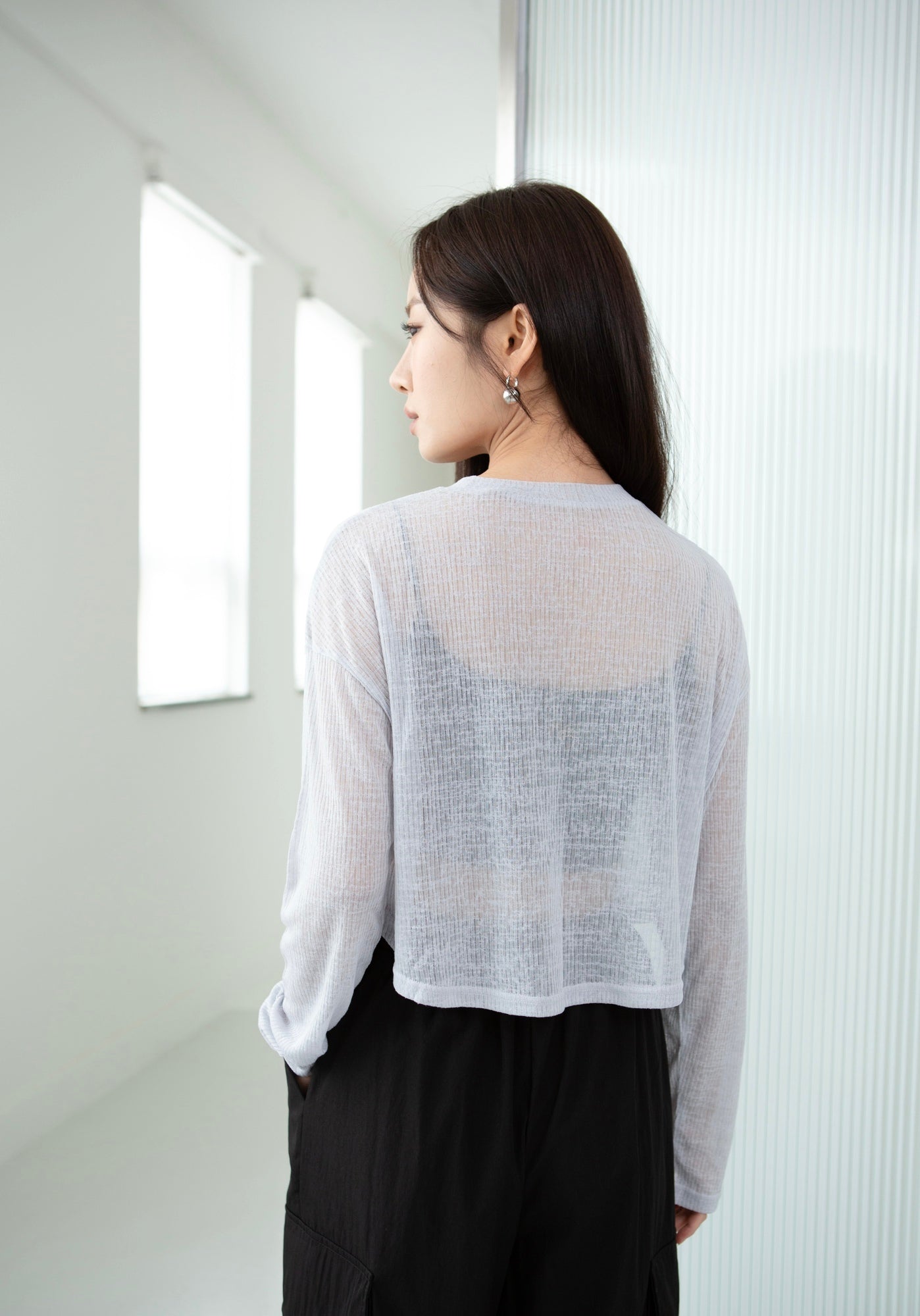 Sheer Long Sleeve Top