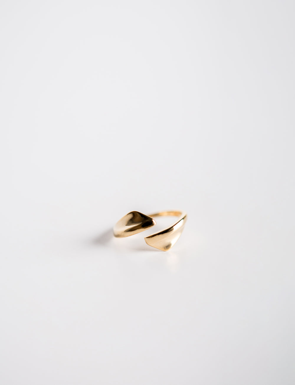 Winged Ring (Gold Ver.)